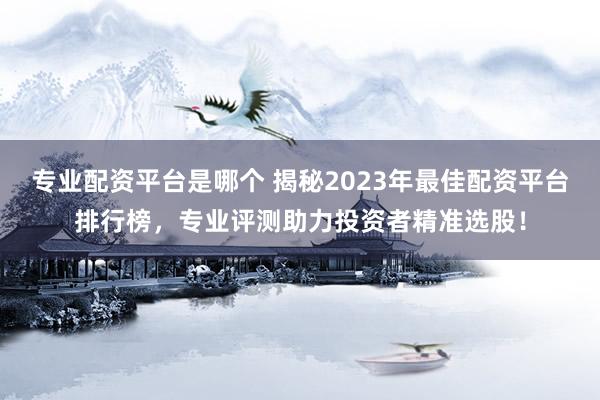 专业配资平台是哪个 揭秘2023年最佳配资平台排行榜，专业评测助力投资者精准选股！