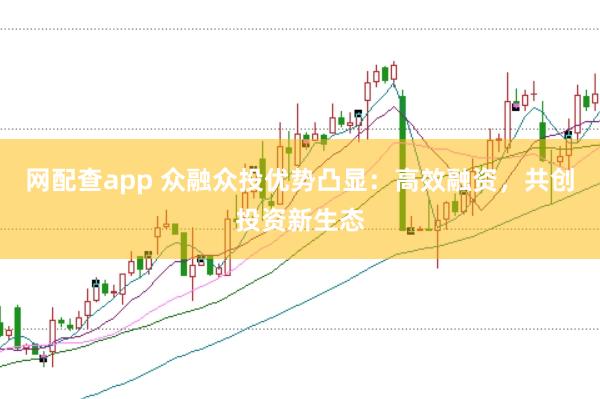 网配查app 众融众投优势凸显：高效融资，共创投资新生态