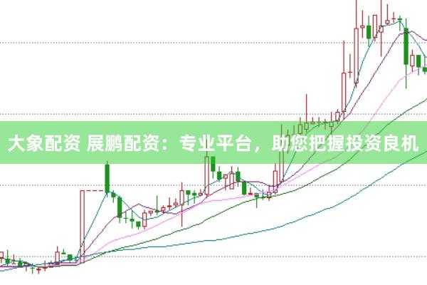大象配资 展鹏配资：专业平台，助您把握投资良机