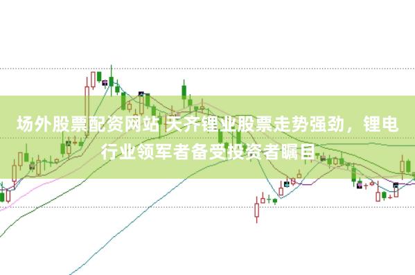 场外股票配资网站 天齐锂业股票走势强劲，锂电行业领军者备受投资者瞩目