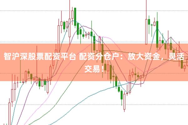 智沪深股票配资平台 配资分仓户：放大资金，灵活交易！
