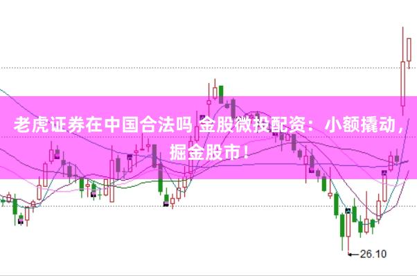 老虎证券在中国合法吗 金股微投配资：小额撬动，掘金股市！