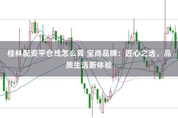 桂林配资平仓线怎么算 宝尚品牌：匠心之选，品质生活新体验