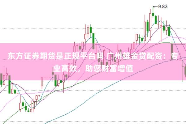 东方证券期货是正规平台吗 广州雄金贷配资：专业高效，助您财富增值