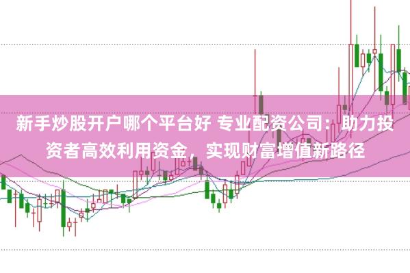 新手炒股开户哪个平台好 专业配资公司：助力投资者高效利用资金，实现财富增值新路径