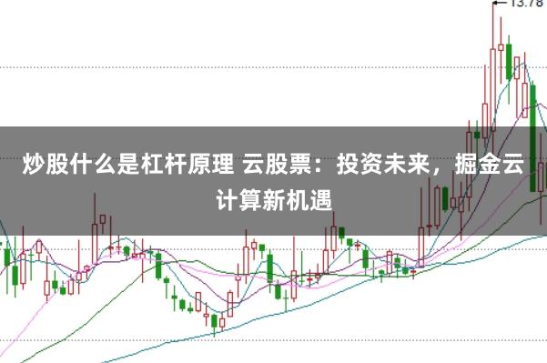 炒股什么是杠杆原理 云股票：投资未来，掘金云计算新机遇