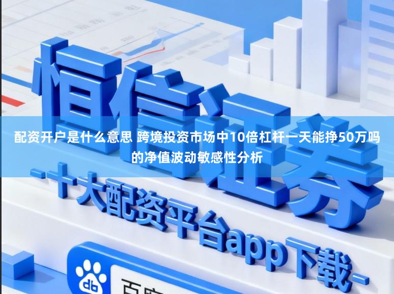 配资开户是什么意思 跨境投资市场中10倍杠杆一天能挣50万吗的净值波动敏感性分析