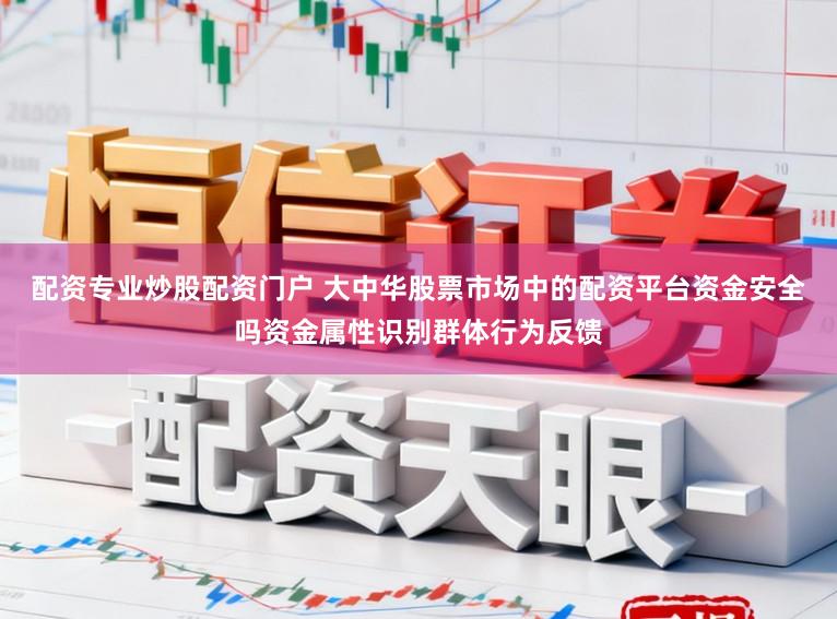 配资专业炒股配资门户 大中华股票市场中的配资平台资金安全吗资金属性识别群体行为反馈